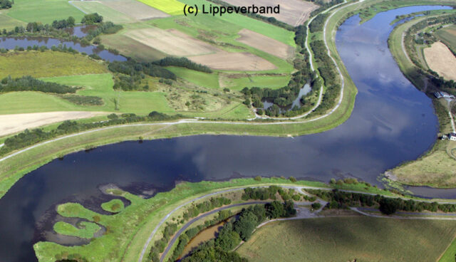 2 1 1 Wasser Umwelt Deichbau Halima1