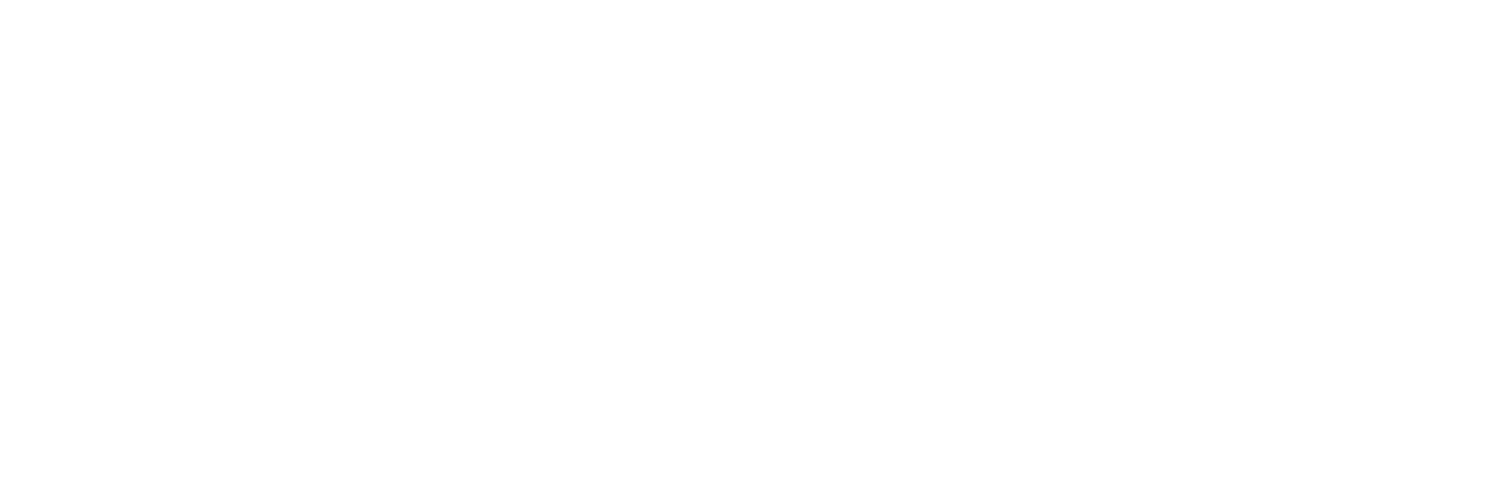 spiekermann ingenieure gmbh